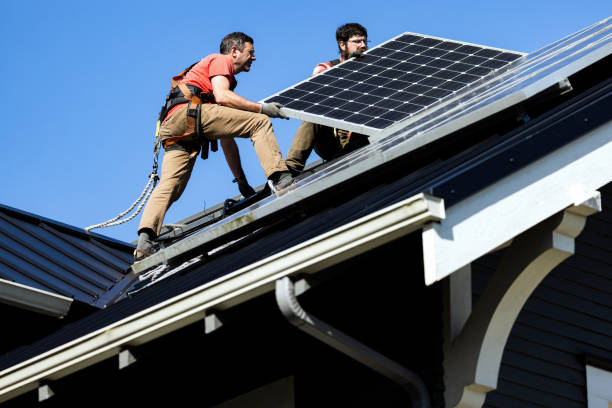 Best Roof Moss and Algae Removal  in Normandy, MO